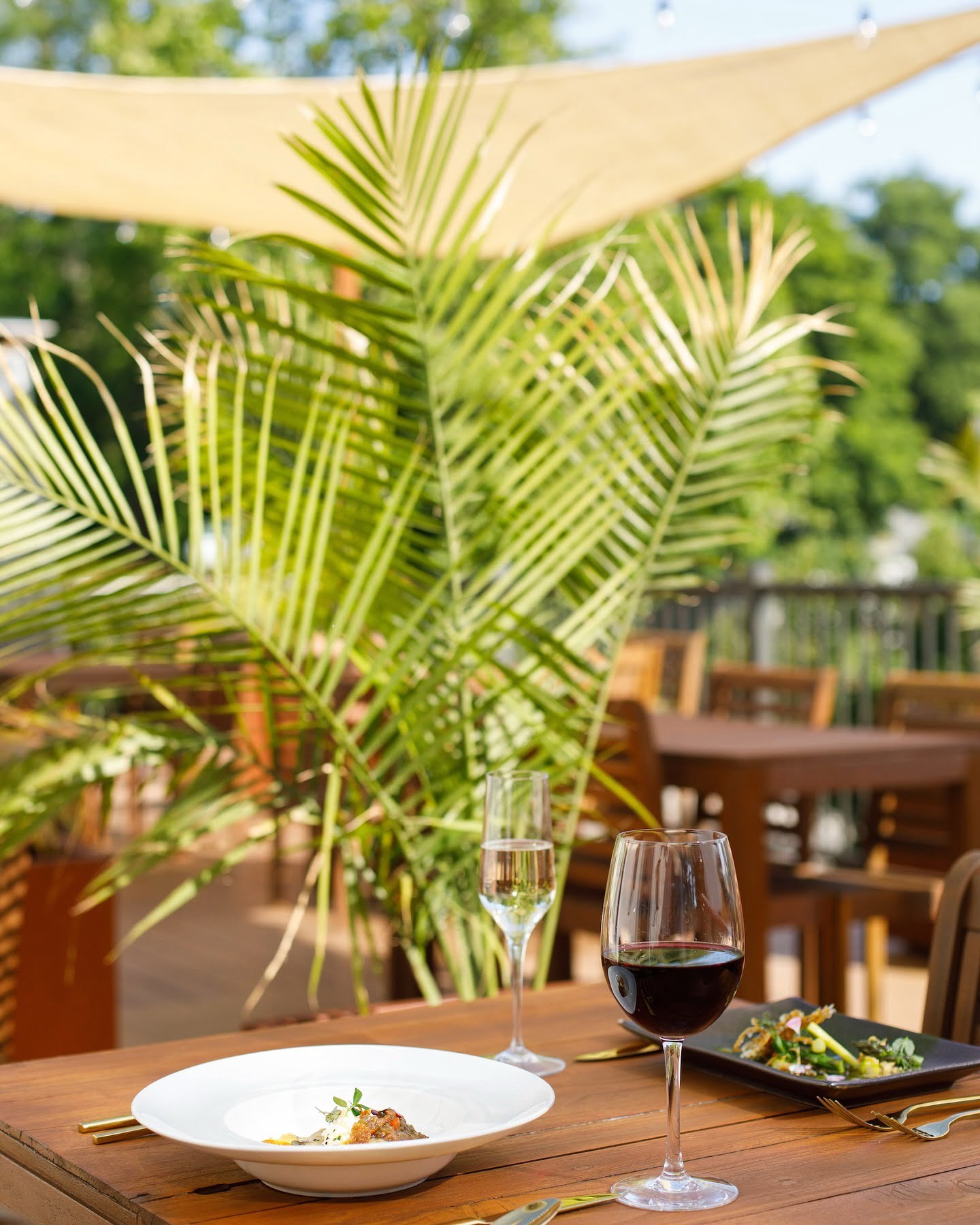Dinner al fresco is just around the corner Book your stay at The Harrison with dinner at Provence and enjoy the best that Cape May has to offer wwwProvenceCapeMaycom
